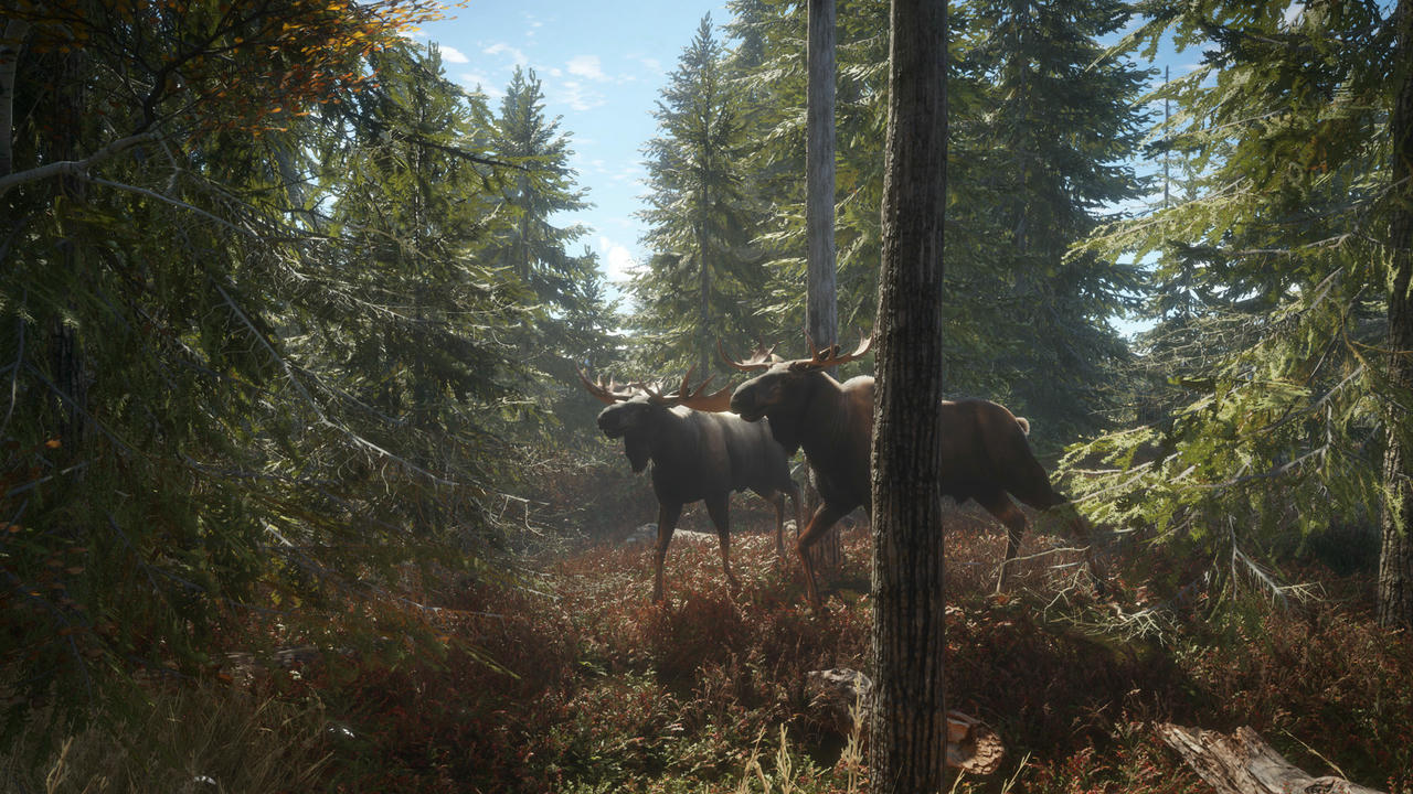 猎人：野性的呼唤 the Hunter：Call of the Wild 猎人：荒野的召唤 v3028143.20250623+66DLCs 免安装中文版[101GB]【B5503】
