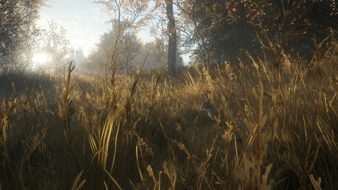 猎人：野性的呼唤 the Hunter：Call of the Wild 猎人：荒野的召唤 v3028143.20250623+66DLCs 免安装中文版[101GB]【B5503】