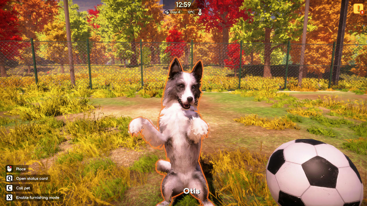 动物收容所2 Animal Shelter 2 Build.19413518.20250731+全DLC 免安装中文豪华版[12.9GB]【B5754】