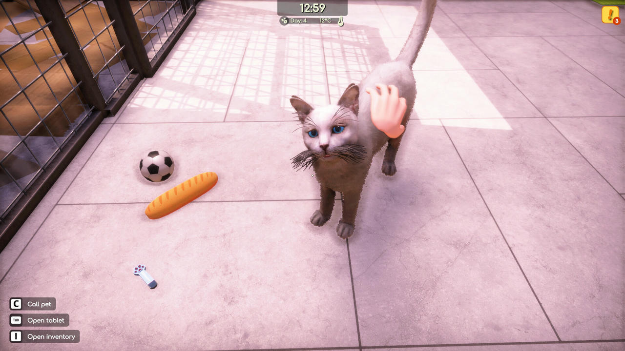 动物收容所2 Animal Shelter 2 Build.19413518.20250731+全DLC 免安装中文豪华版[12.9GB]【B5754】